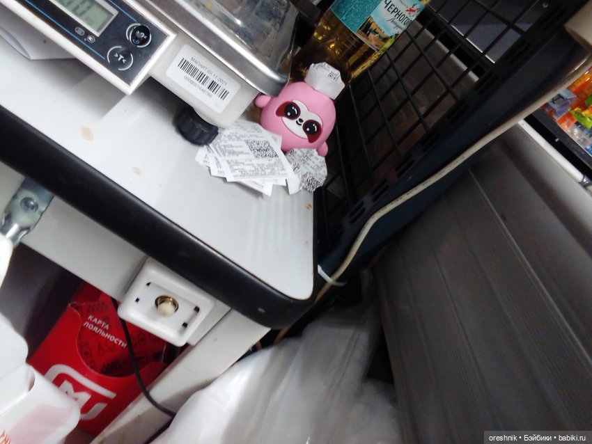 Будни с щепоткой сказочности🤭✨🌿🍂☀️