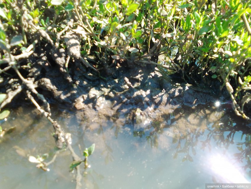 Будни с щепоткой сказочности🤭✨🌿🍂☀️