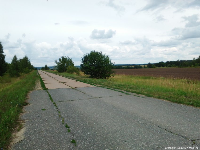 Будни с щепоткой сказочности🤭✨🌿🍂☀️ (фото 5)