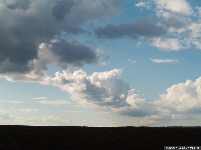 Будни с щепоткой сказочности🤭✨🌿🍂☀️