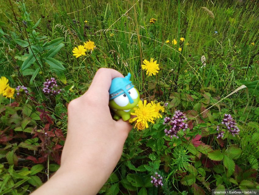 Будни с щепоткой сказочности🤭✨🌿🍂☀️ (фото 7)