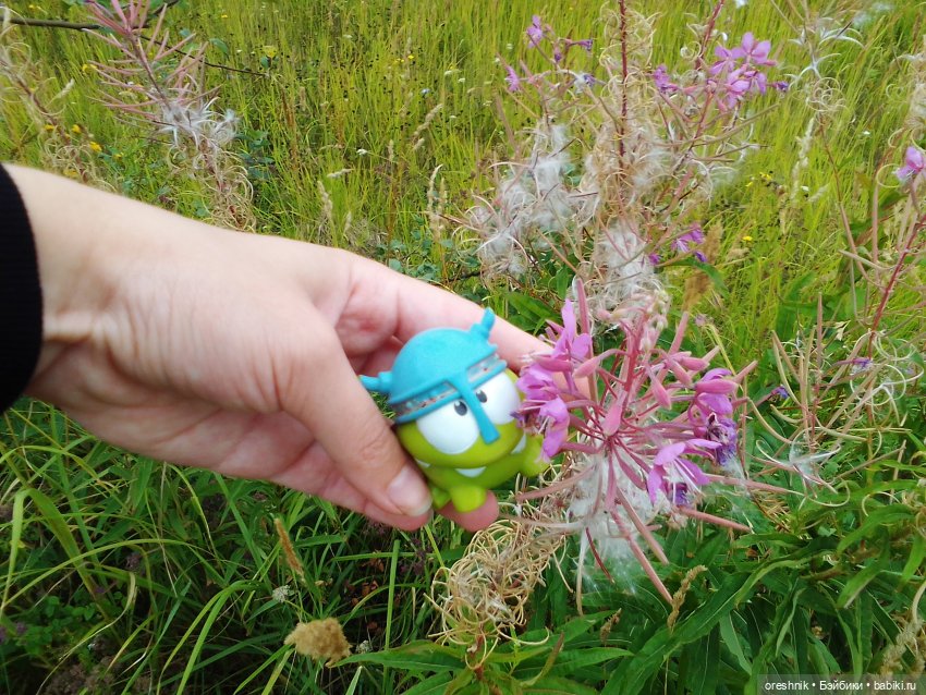 Будни с щепоткой сказочности🤭✨🌿🍂☀️ (фото 10)