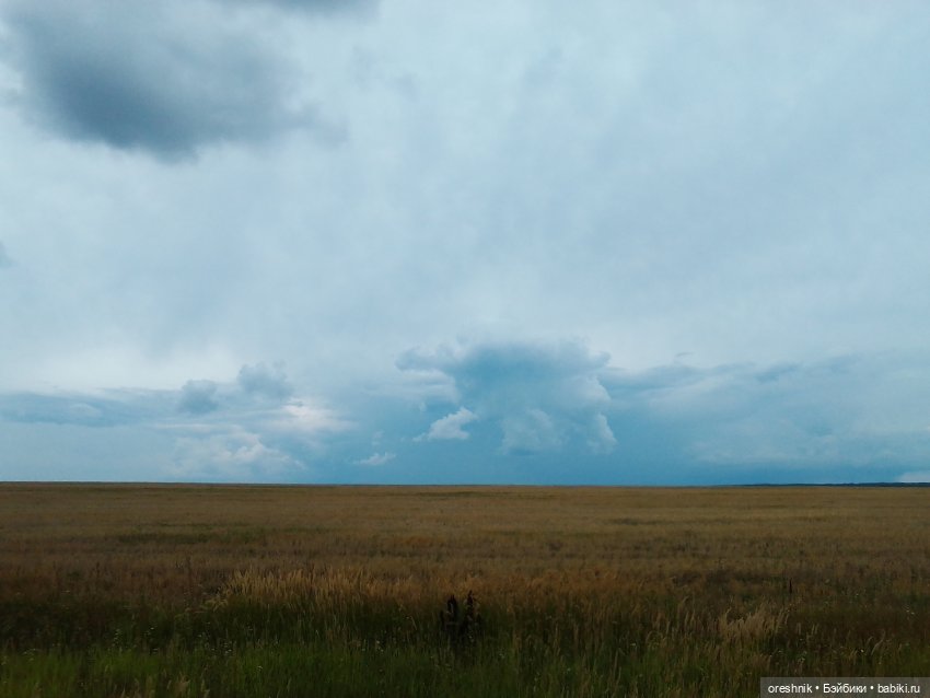 Будни с щепоткой сказочности🤭✨🌿🍂☀️