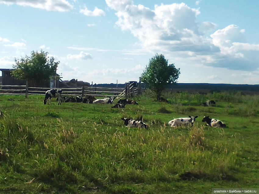 Будни с щепоткой сказочности🤭✨🌿🍂☀️