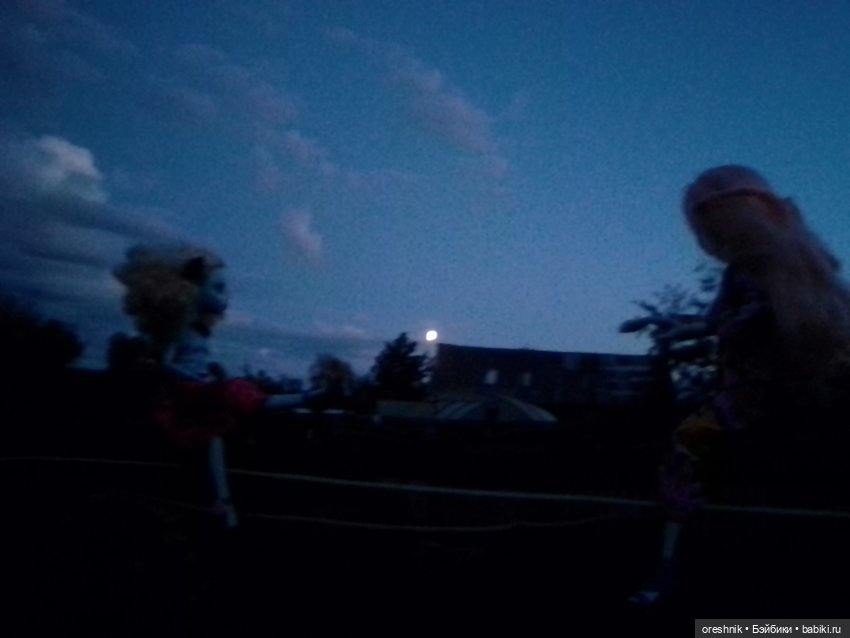 Будни с щепоткой сказочности🤭✨🌿🍂☀️