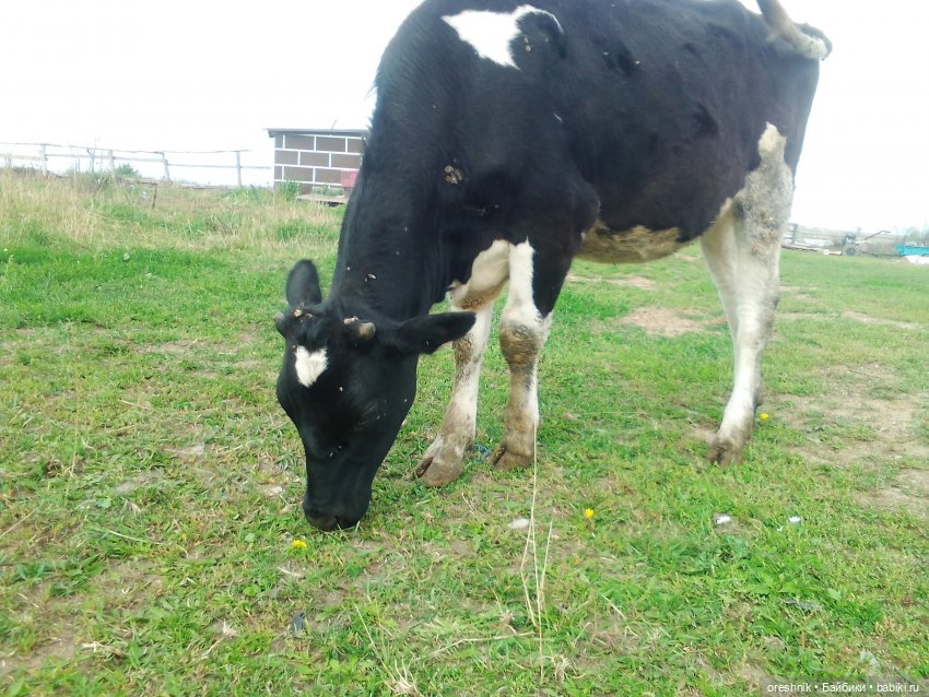 Будни с щепоткой сказочности🤭✨🌿🍂☀️