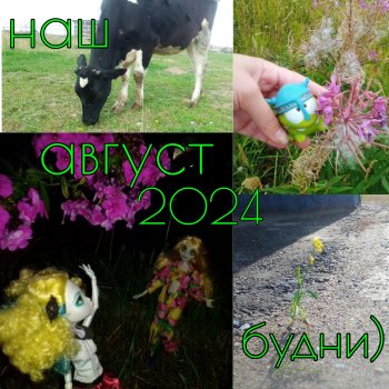 Будни с щепоткой сказочности🤭✨🌿🍂☀️