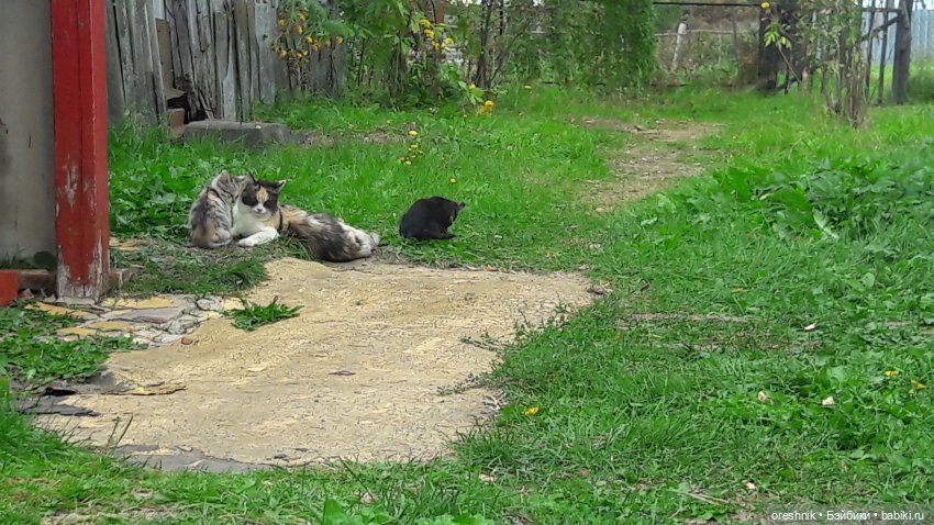 Не забывая традиции — Куклы Baboliy (Баболи (фото 10)