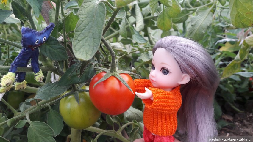 Не забывая традиции — Куклы Baboliy (Баболи