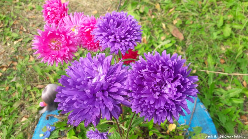 Не забывая традиции — Куклы Baboliy (Баболи (фото 2)