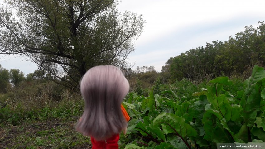 Не забывая традиции — Куклы Baboliy (Баболи