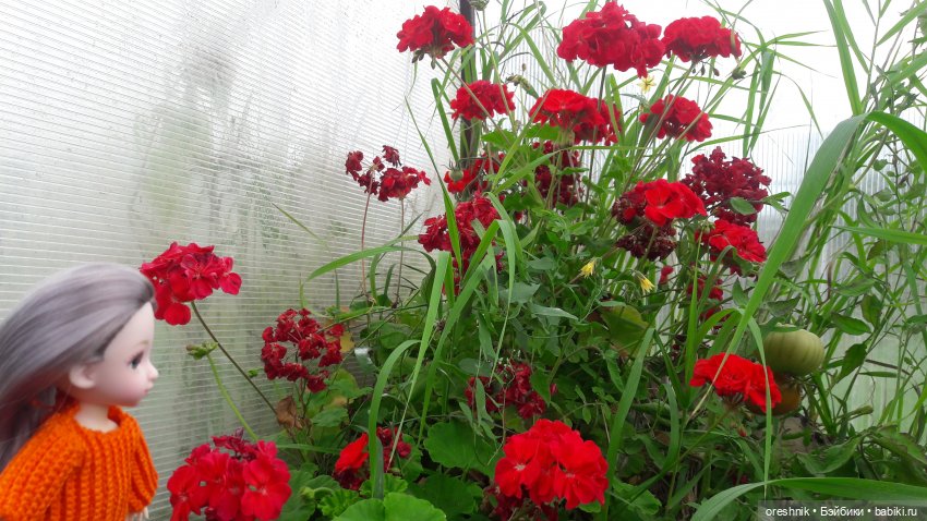 Не забывая традиции — Куклы Baboliy (Баболи