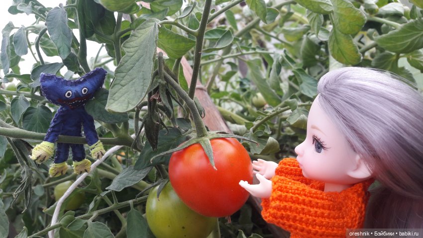 Не забывая традиции — Куклы Baboliy (Баболи