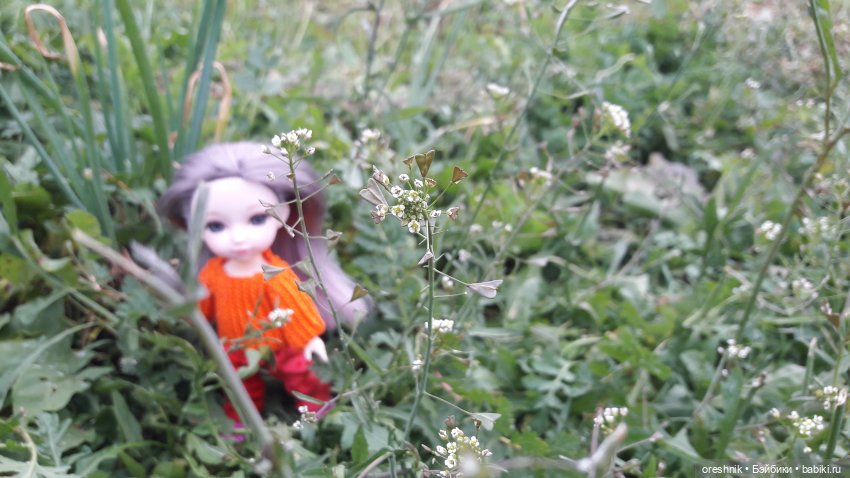 Не забывая традиции — Куклы Baboliy (Баболи