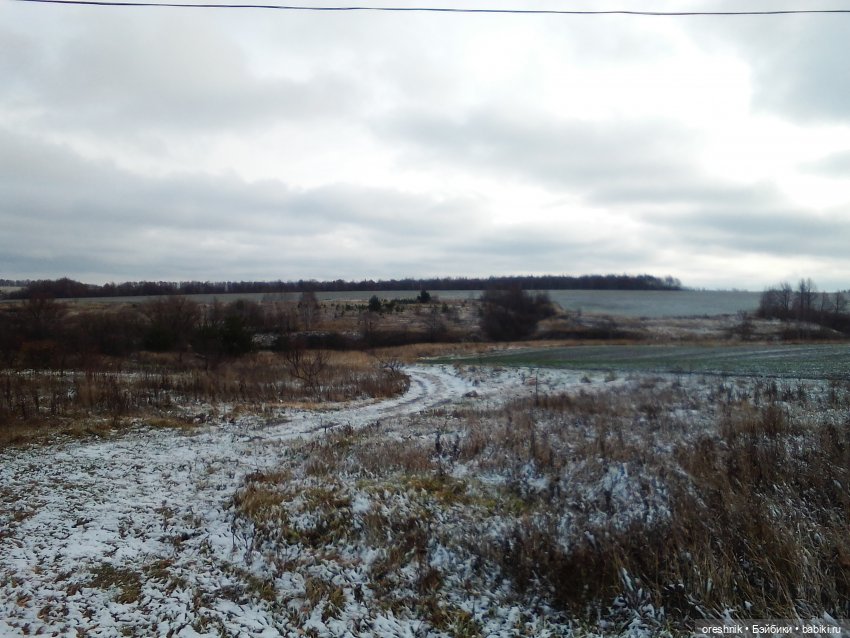 О Слонике 🐘🌄💖 — Авторские куклы Тедди