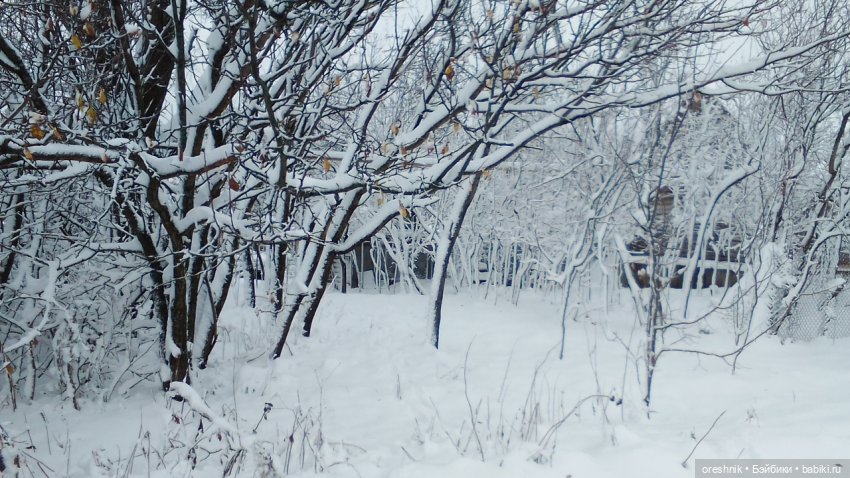 О Слонике 🐘🌄💖 — Авторские куклы Тедди