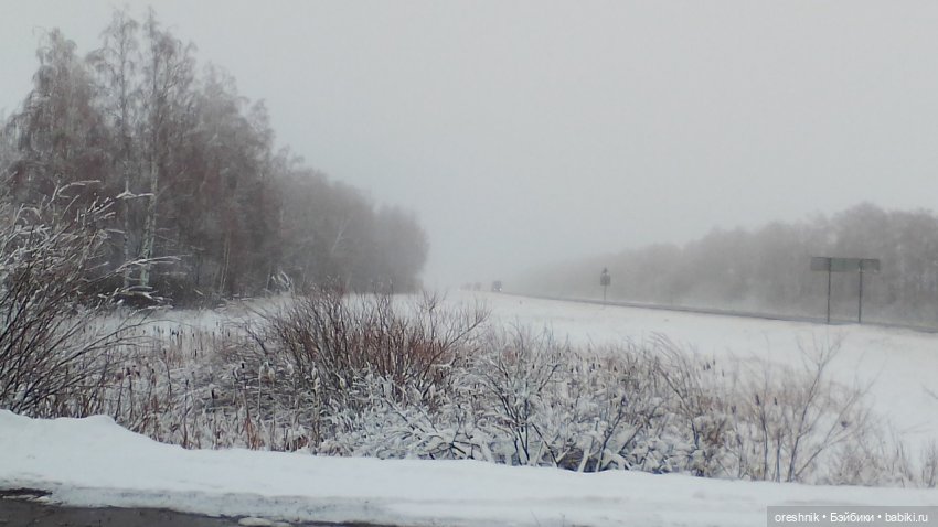 О Слонике 🐘🌄💖 — Авторские куклы Тедди