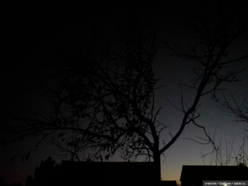 О Слонике 🐘🌄💖 — Авторские куклы Тедди