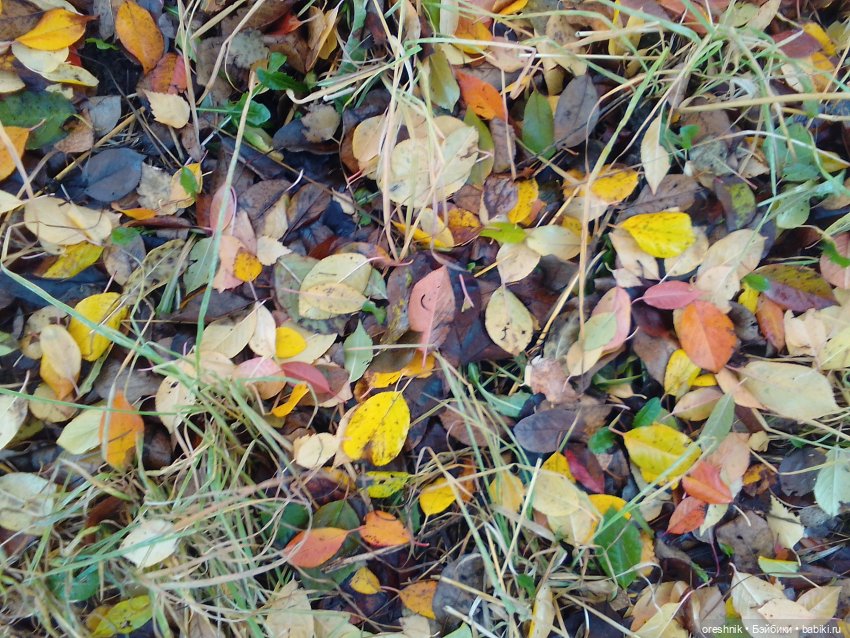 О Слонике 🐘🌄💖 — Авторские куклы Тедди