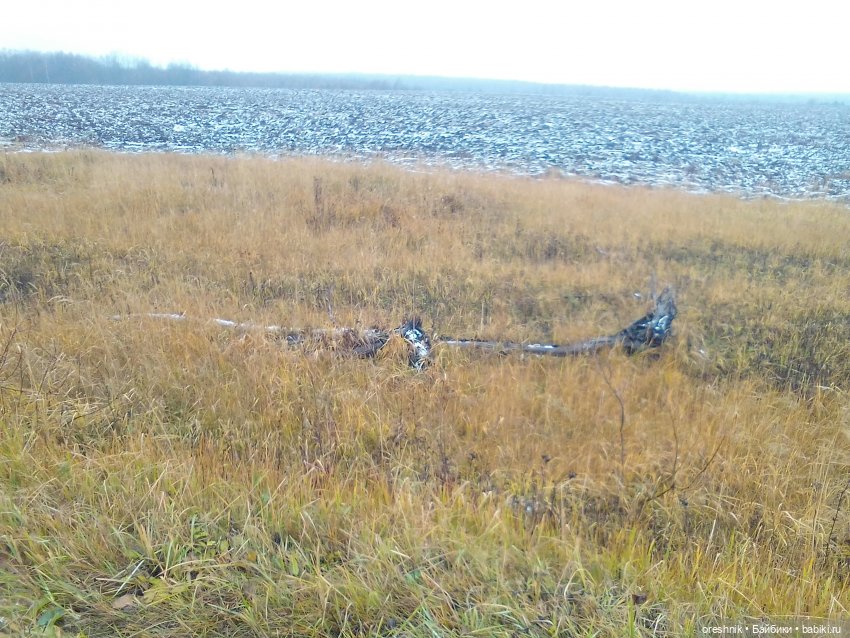 О Слонике 🐘🌄💖 — Авторские куклы Тедди