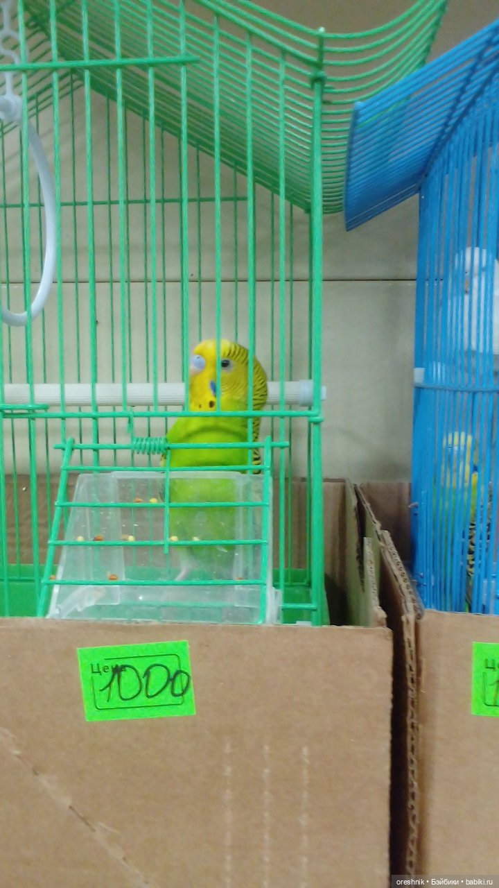 О Слонике 🐘🌄💖 — Авторские куклы Тедди