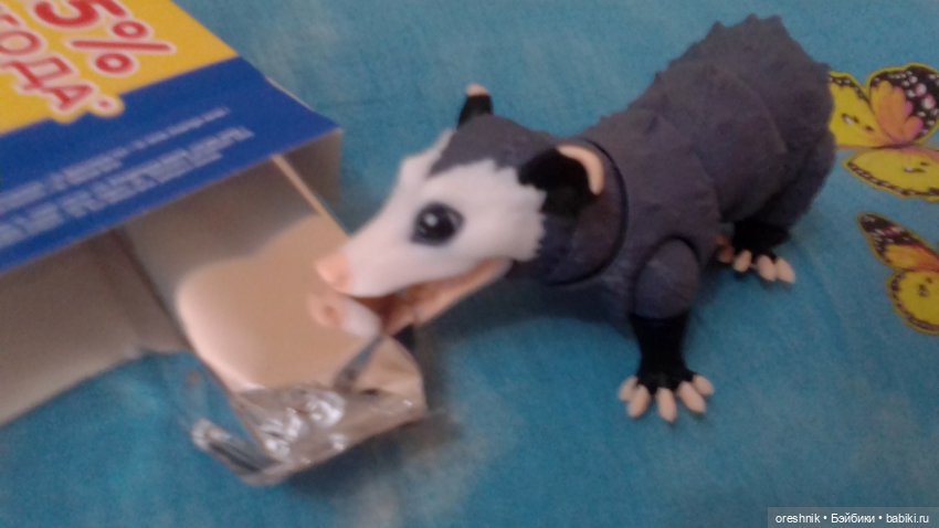 Опоссум и первое вкусное стрррастное "ррр") | Бэйбики Опоссум и первое вкусное стрррастное "ррр")