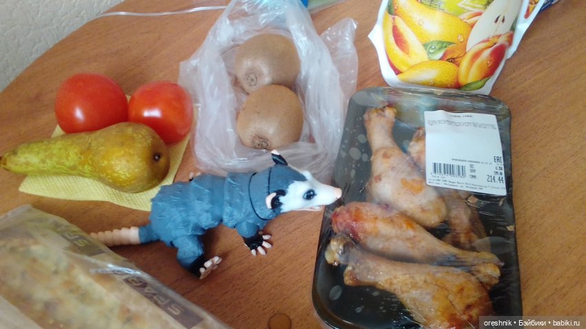 Опоссум и миллион вопросов (фото 3)