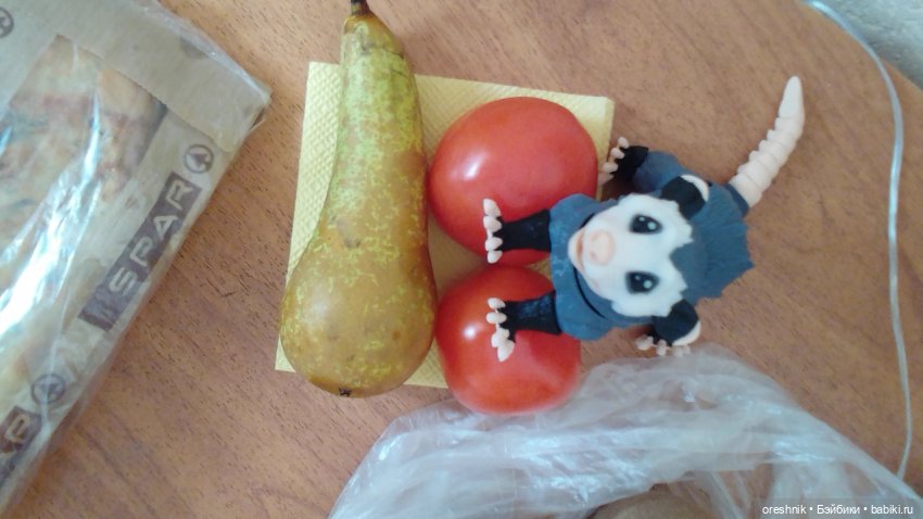 Опоссум и миллион вопросов (фото 5)