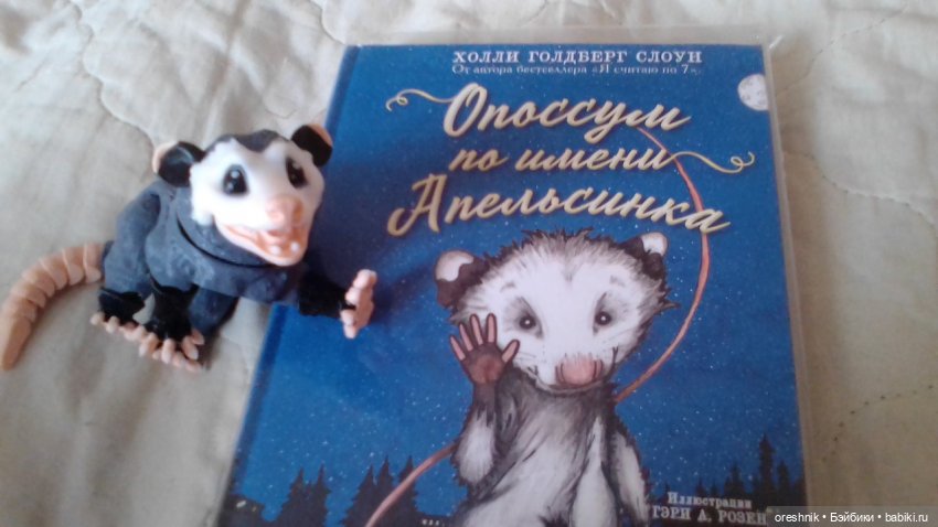 Опоссум и миллион вопросов