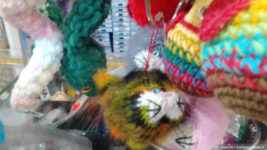 Опоссум и миллион вопросов