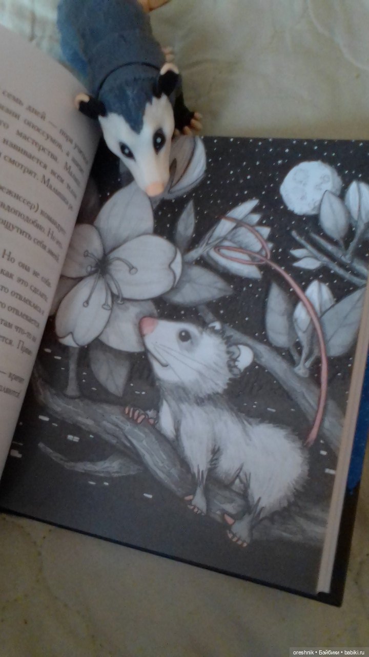 Опоссум и миллион вопросов