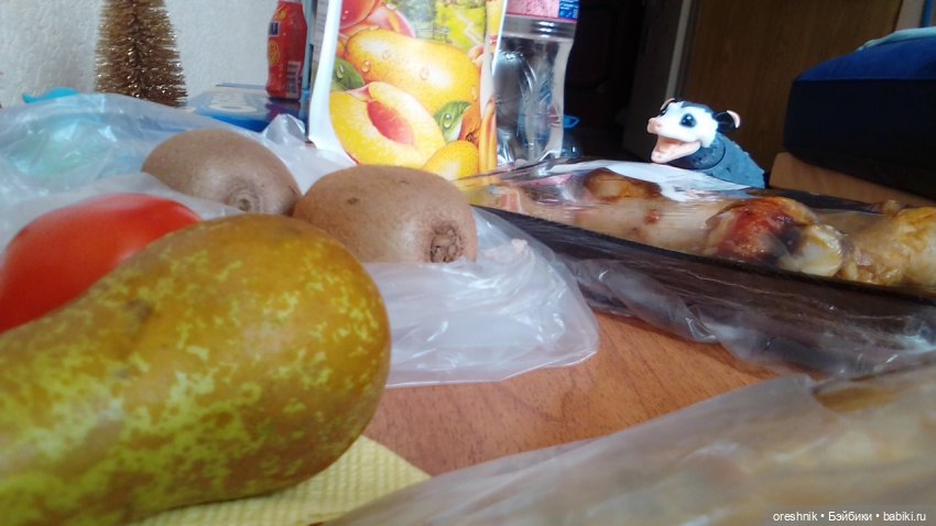 Опоссум и миллион вопросов