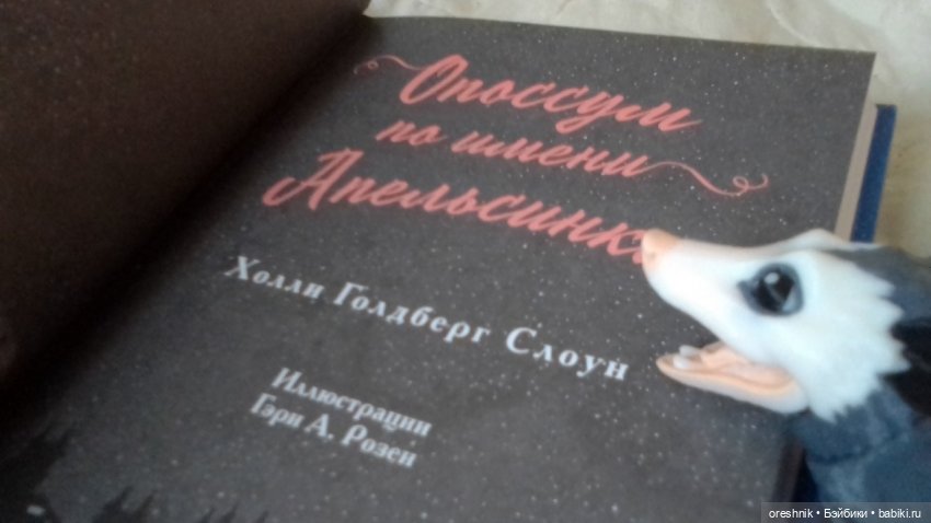 Опоссум и миллион вопросов