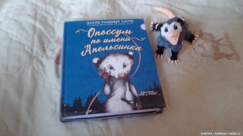 Опоссум и миллион вопросов