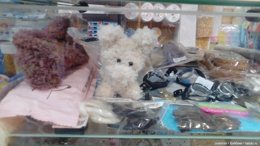 Опоссум и миллион вопросов