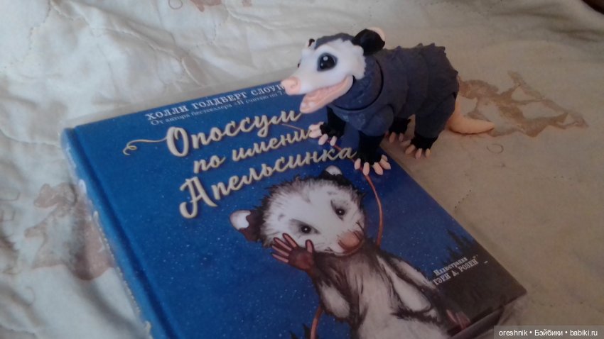 Опоссум и миллион вопросов (фото 10)