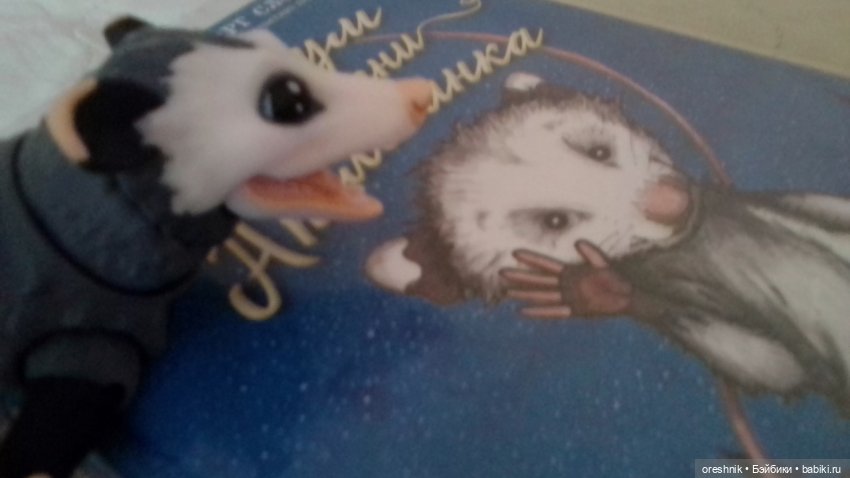 Опоссум и миллион вопросов