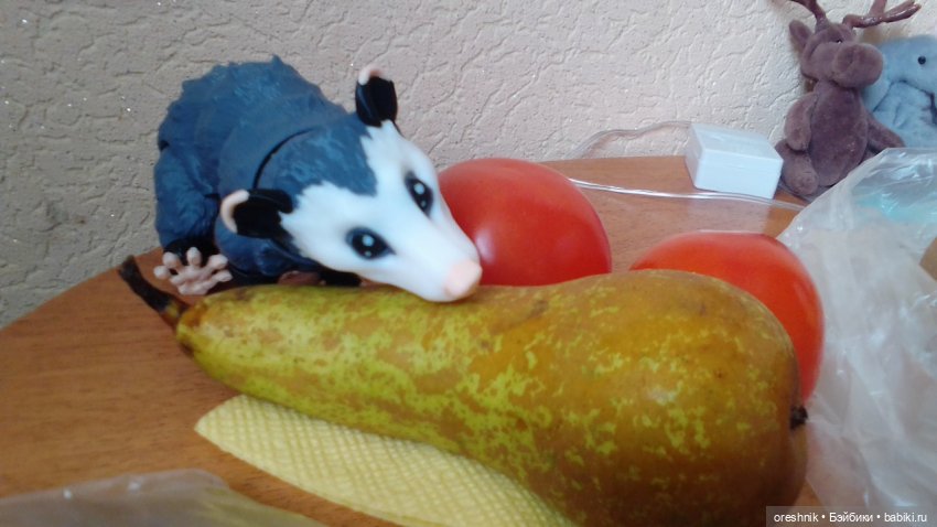 Опоссум и миллион вопросов (фото 4)