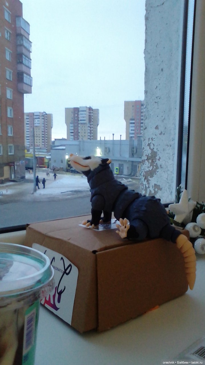 Опоссум и миллион вопросов (фото 8)