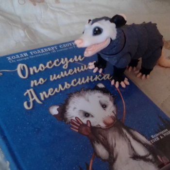 Опоссум и миллион вопросов