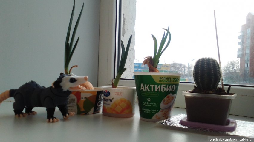 Будни Опоссума. Макароны с луком или кто вкуснее