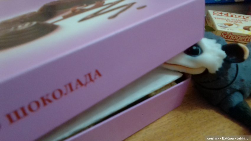 Опоссум без вопросов (когда нужно поздравлять)))😊🌺🍬 (фото 10)