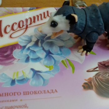 Опоссум без вопросов (когда нужно поздравлять)))😊🌺🍬