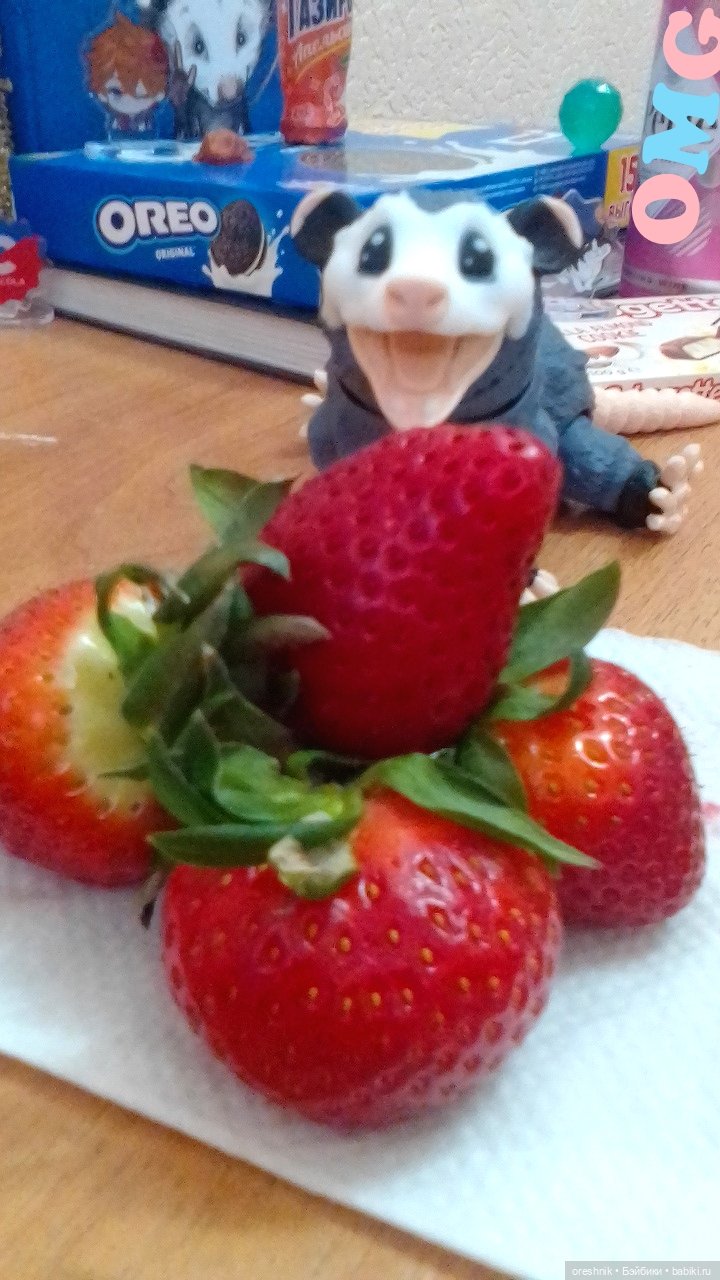 Опоссум и клубника — Интересные игрушки и фигурки (разное): редкие (фото 5)