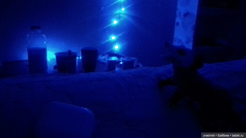 Опоссум. Ночной завтрак. Ложка.🤔😋🌄 | Бэйбики Опоссум. Ночной завтрак. Ложка.🤔😋🌄