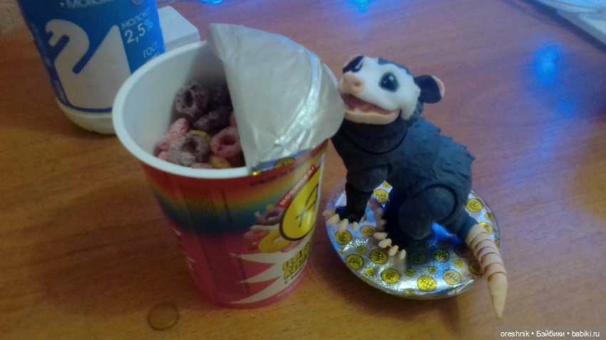 Опоссум. Ночной завтрак. Ложка.🤔😋🌄 | Бэйбики Опоссум. Ночной завтрак. Ложка.🤔😋🌄 (фото 8)