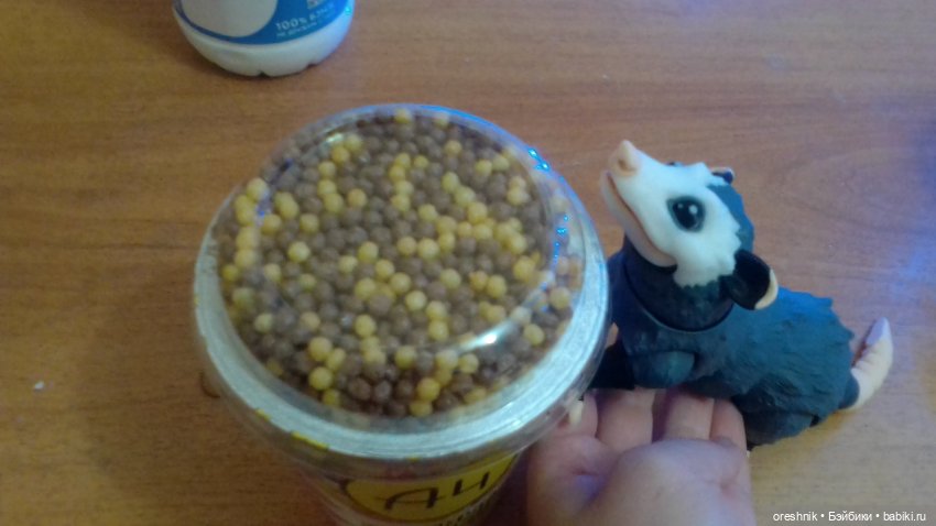 Опоссум. Ночной завтрак. Ложка.🤔😋🌄 | Бэйбики Опоссум. Ночной завтрак. Ложка.🤔😋🌄 (фото 4)