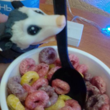 Опоссум. Ночной завтрак. Ложка.🤔😋🌄