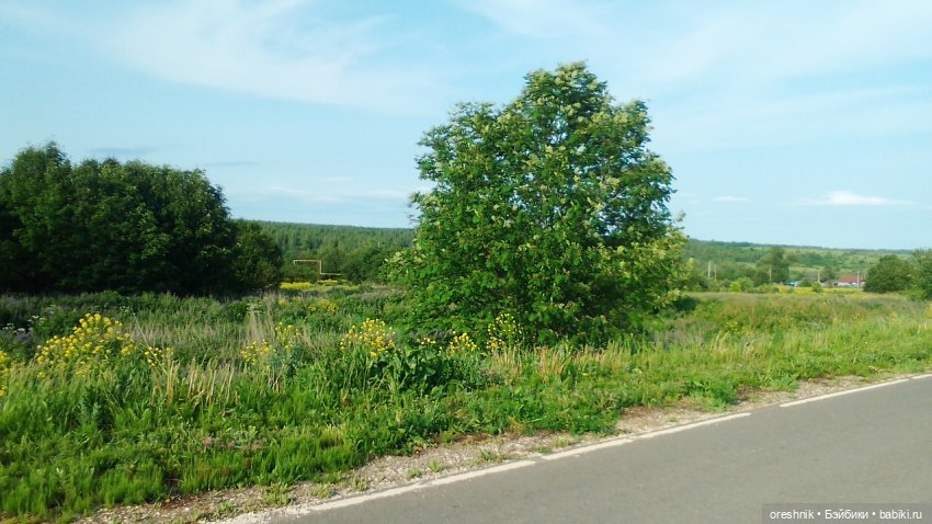 Опоссум в стране чудес — Интересные игрушки и фигурки (разное): редкие