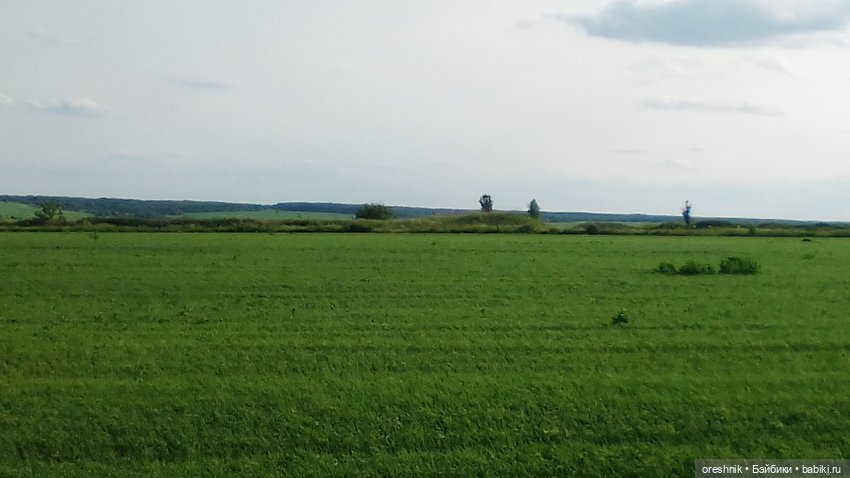 Опоссум в стране чудес — Интересные игрушки и фигурки (разное): редкие